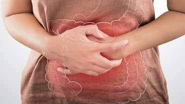 Gut disorders (IBS, IBD) and diet
