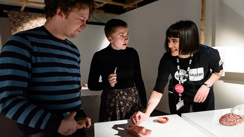 A Gallery Assistant explains an exhibit to two visitors