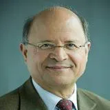 Professor Youssef Mahmoud