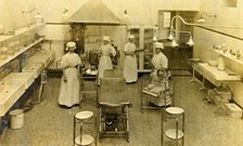 'From Matrons to Microbes' online exhibition