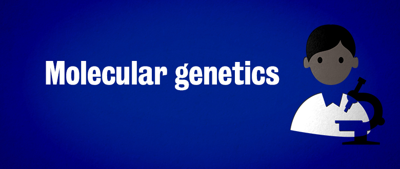 bench to bedside molecular genetics