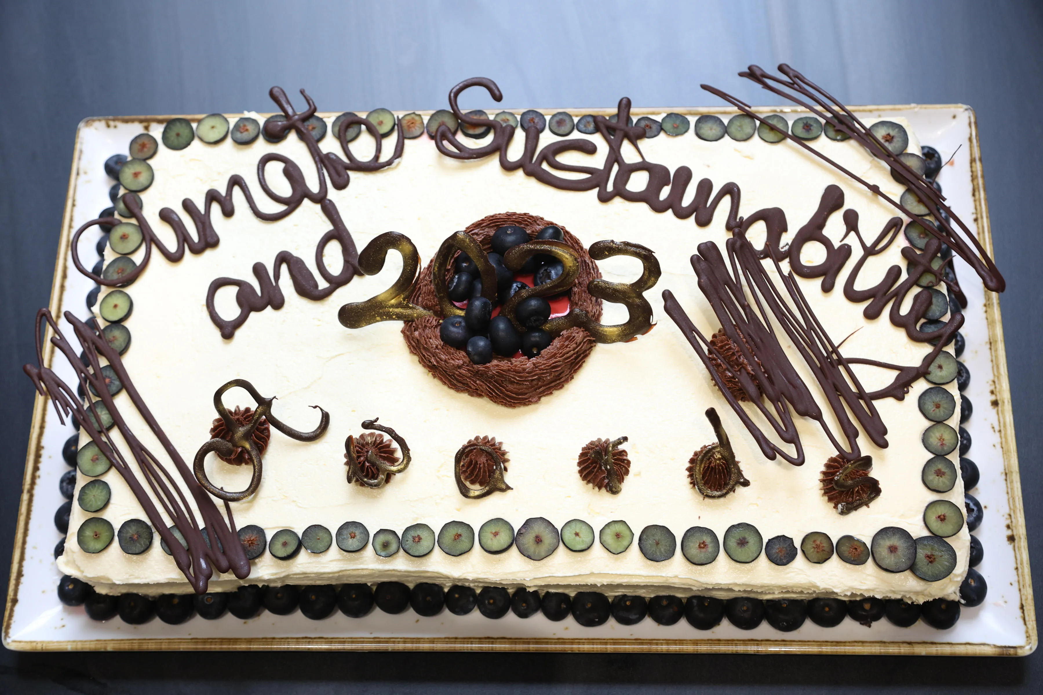 Vegan cake made by King's Food for the Climate & Sustainability Awards 2023.