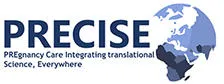 precise-logo