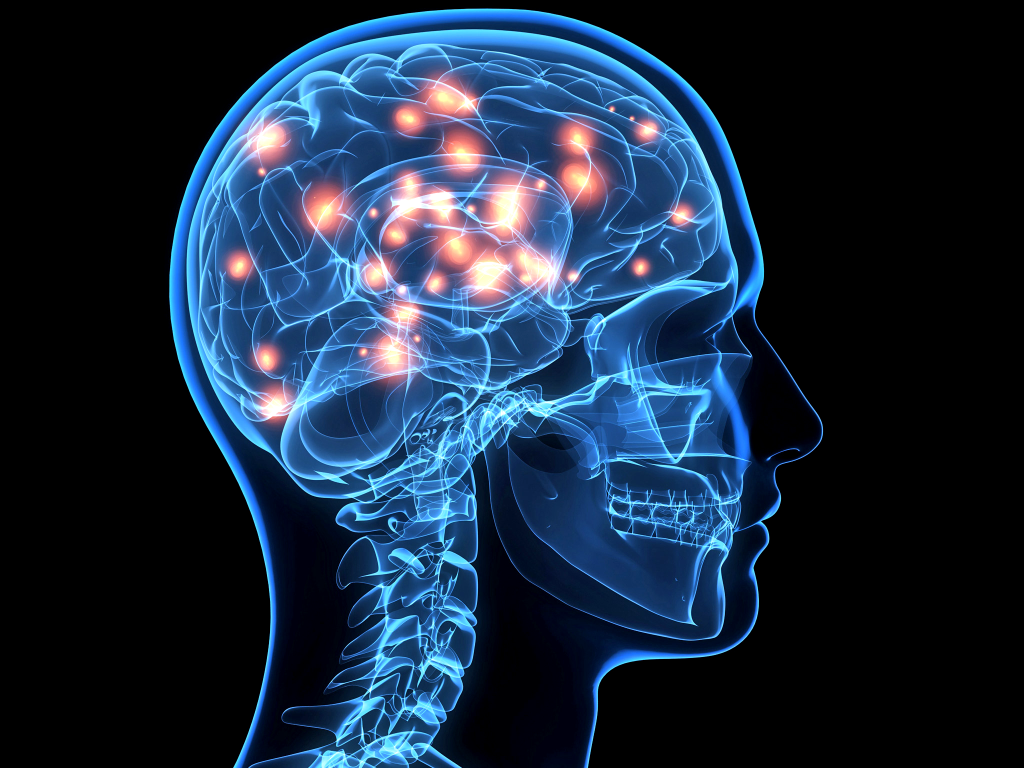 blue-brain-outline.xabef332d.png?w\u003d780\u0026h\u003d585\u0026crop\u003d780,440,0,0\u0026f\u003dwebp