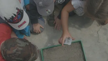 Children planting