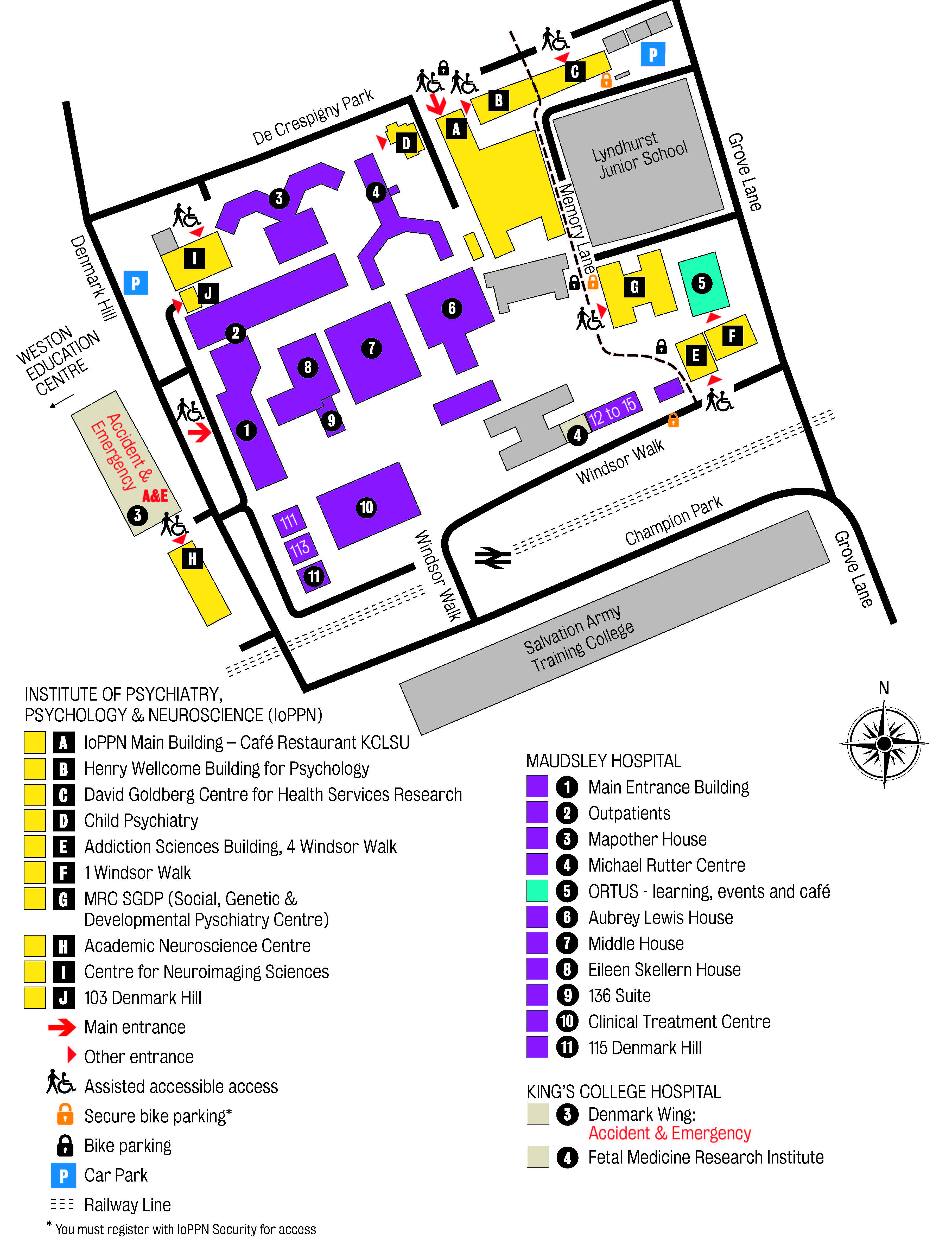 Institute Of Psychiatry Psychology Neuroscience IoPPN King S   03 Ioppn Detail 2022 08.xbac0ffe6 