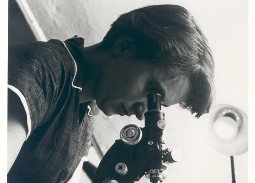 The Structure Of DNA: How Dr Rosalind Franklin Contributed To The Story ...