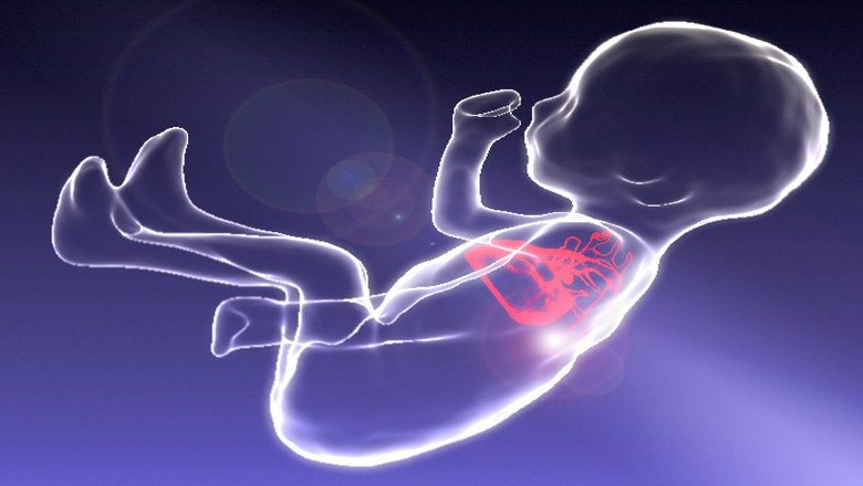 Fetal heart abnormalities detailed before birth by new 3D images