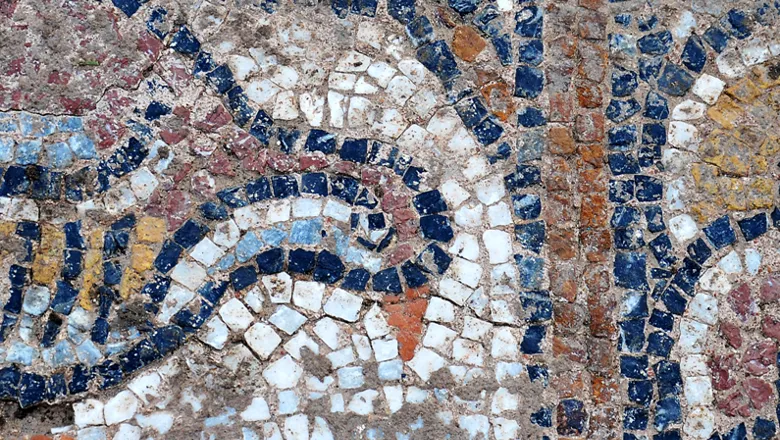 Fragment of mosaic floor depicting a mountain partridge, Aghia Kyriaki (coast of Livanates, Phthiotis, Central Greece). 
