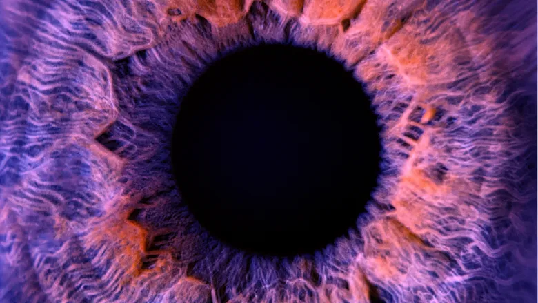 Macro photo of purple-coloured human eye. Shutterstock