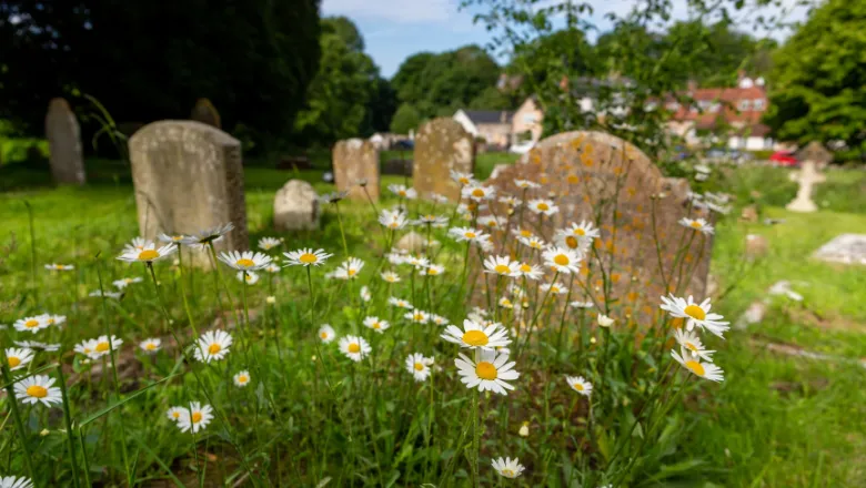 church graveyard 780x440 (shutterstock)