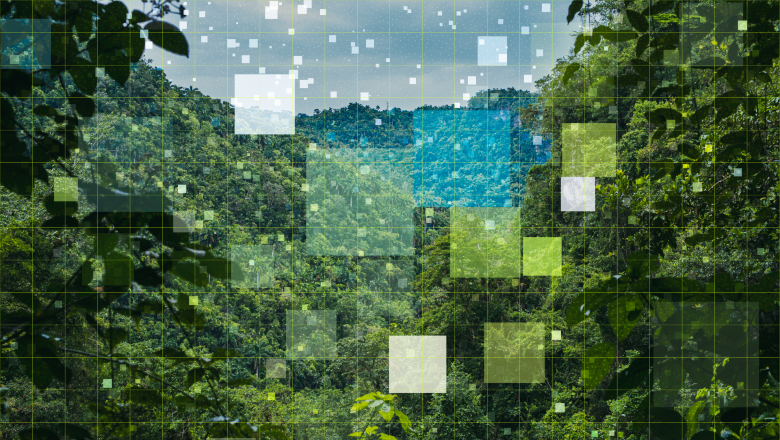 Sustainability forest data digital AI 780x440