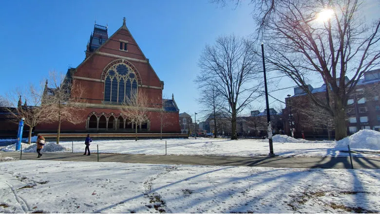 Snowy Harvard quadrangle on a sunny day