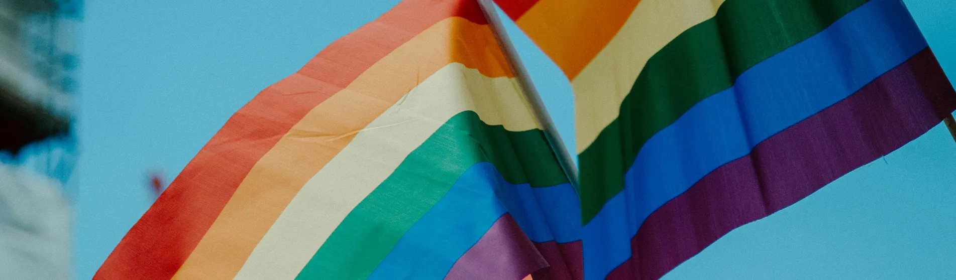 Two LGBTQI+ flags wave against the backdrop of a blue sky.