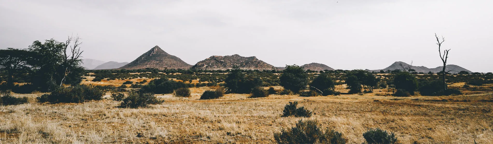 Africa-banner