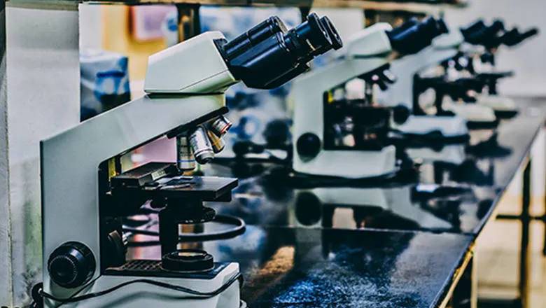 A line of microscopes in a lab