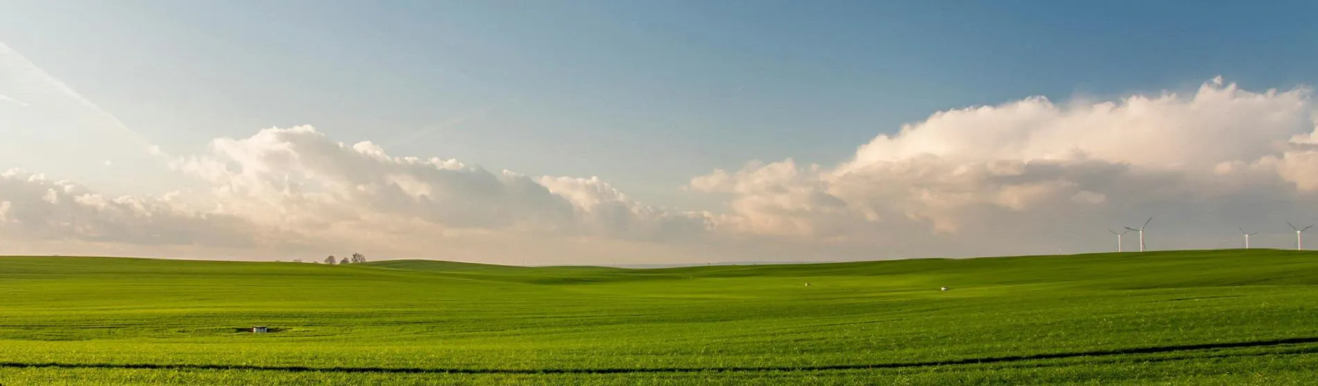 image of blue sky and green field