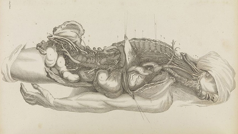 780x440-dramaofdissection-kcl