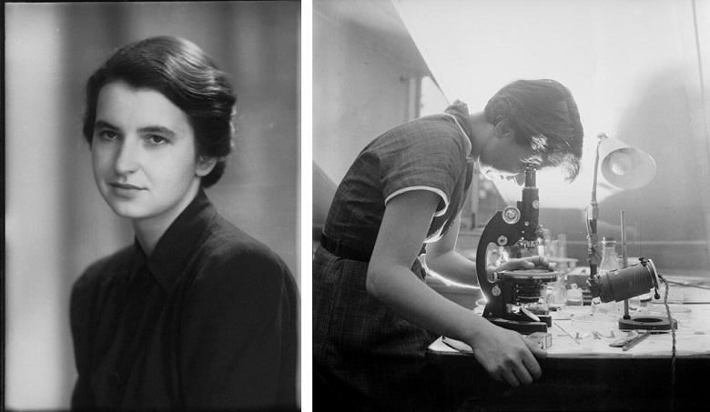 Rosalind Franklin At 100 Structures And Symmetries King S Cultural Community King S College London