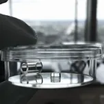 The newly designed synthetic hydrogel, which is cast into a glass ring, where it rapidly solidifies into a clear mass. This system allows researchers complete control over the culture conditions, enabling them to study IBD-associated co-morbidities like fibrosis or fistulae.