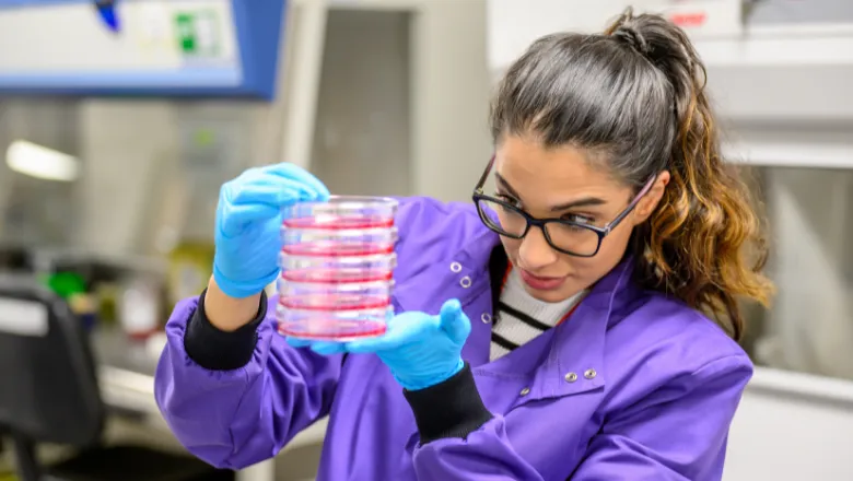 Student in the laboratory holding Petri dishes and wearing a purple lab coat.