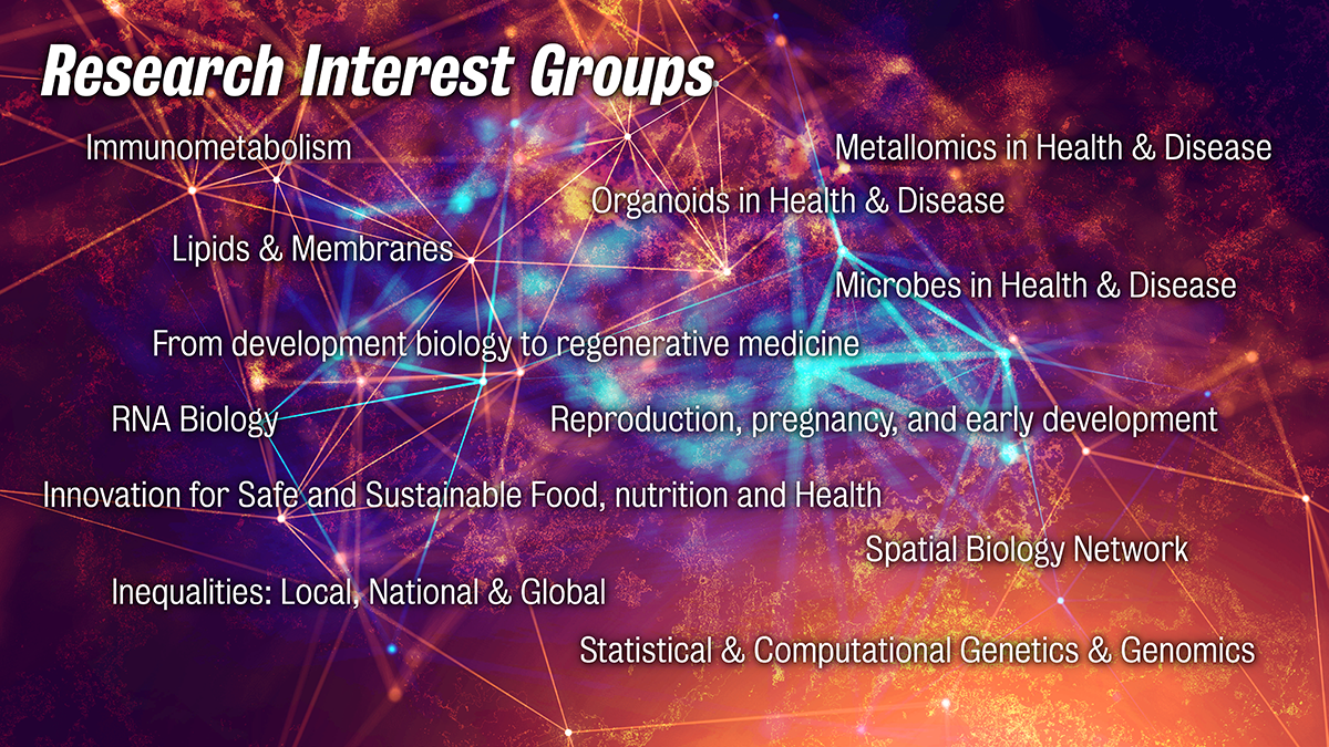 The twelve Research Interest Groups in the Faculty of Life Sciences & Medicine