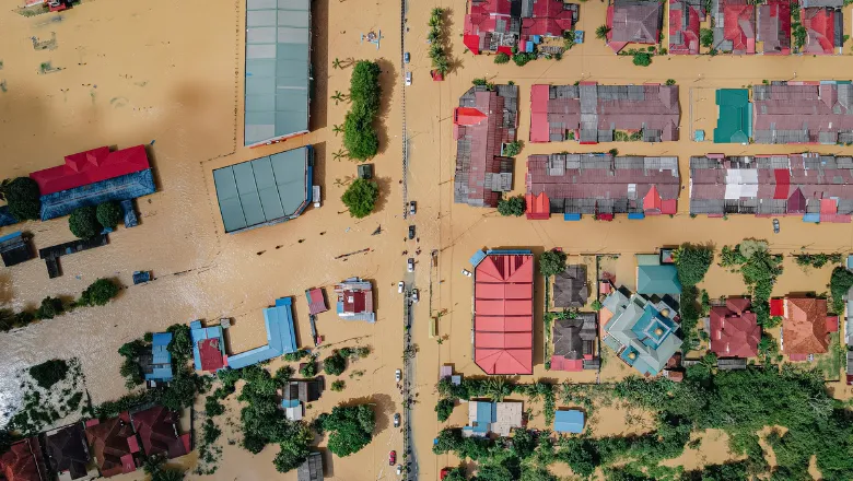 Houses and trees in a flooded village.