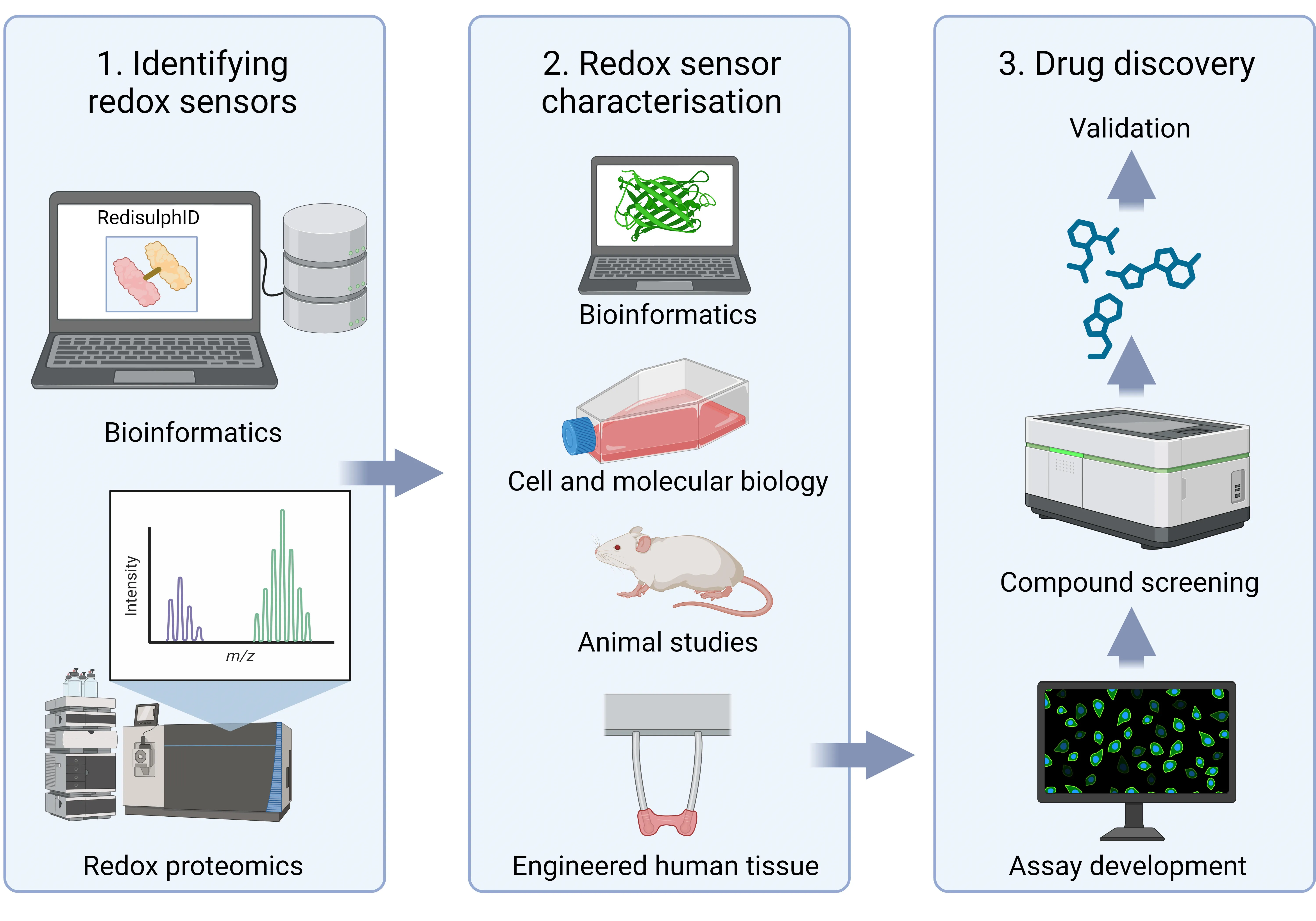 Figure for identifying and characterising redox sensors v3