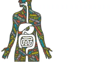 gut and metabolic health 1903x558