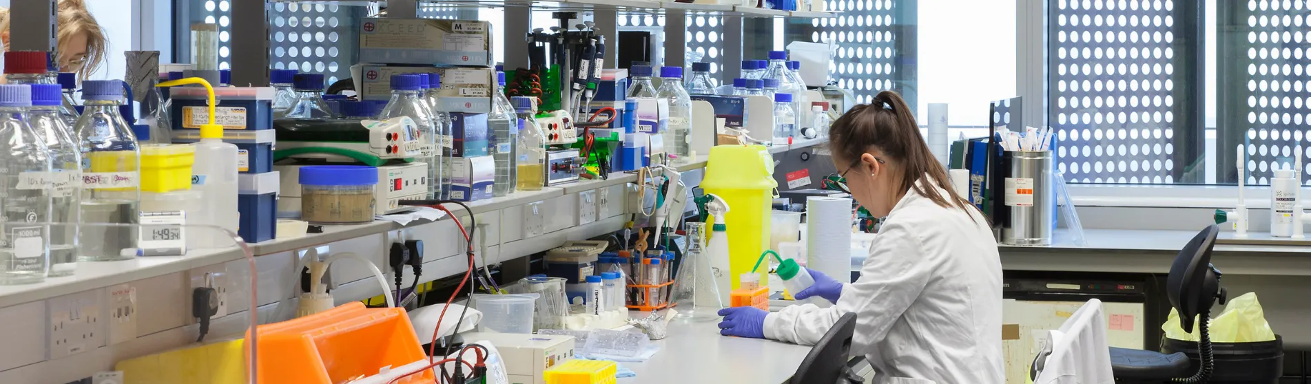 Student working in lab