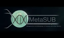 metasub 1