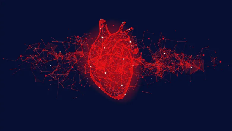 digital heart_SN