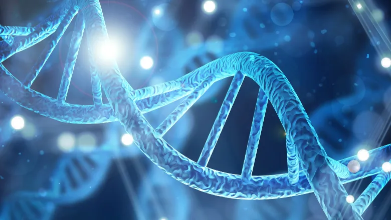 Visual representation of DNA, showcasing its double-stranded structure, essential for genetic information storage.