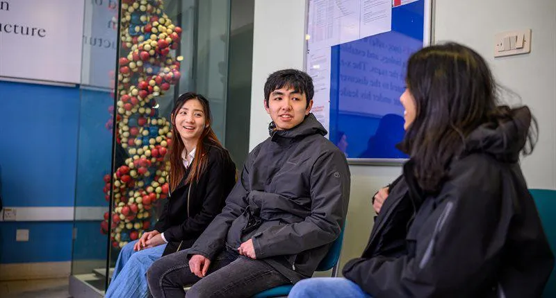 students-talking-cropped-800x430