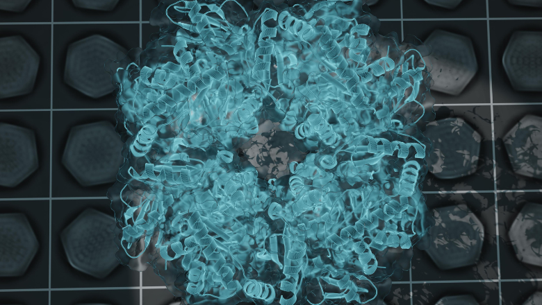 https://www.kcl.ac.uk/newimages/folsm/thumbnail-newsevents/bmb/carboxysome-cryoem-780x450.xa6260e28.png?crop=780,440,0,5