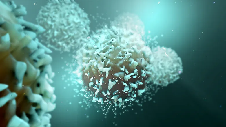 T-cells thumbnail