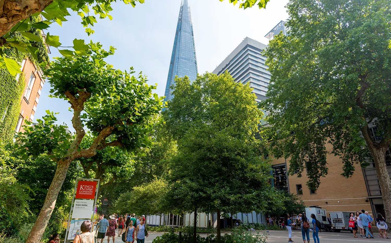 Guy's campus with trees in the foreground and the Shard in the background