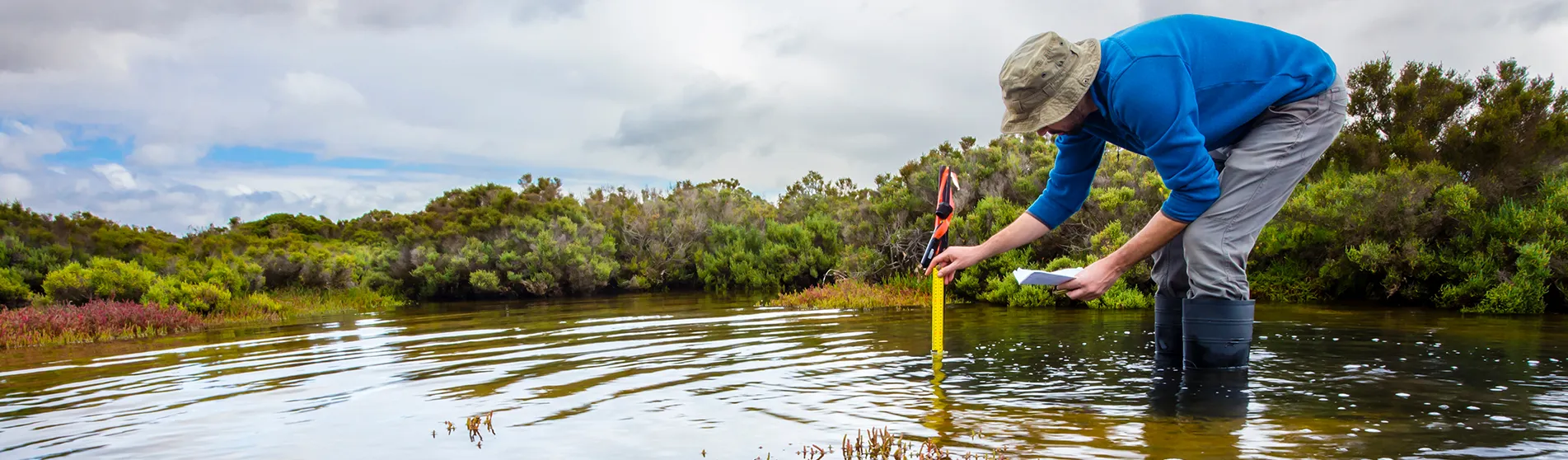 citizen science feature