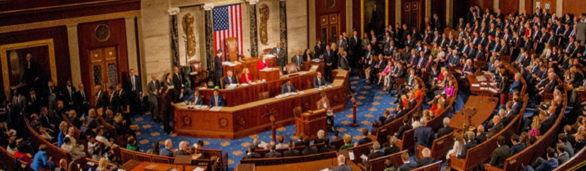 Congress-Banner