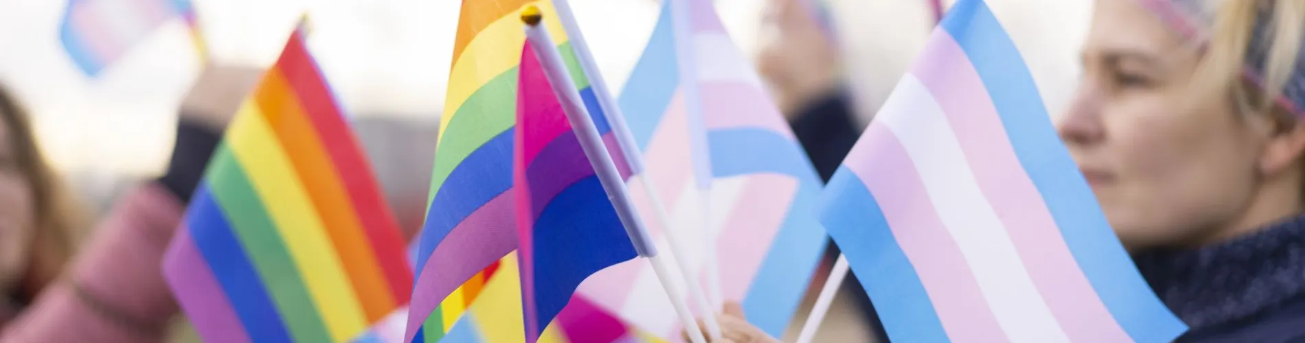 People holding pride flags and trans flags.