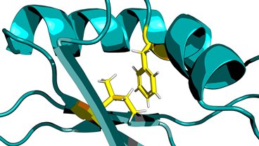 Drop-in clinic: Biomolecular Interactions and Optical Spectroscopy facilities