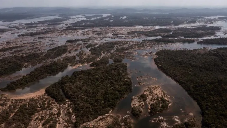 Aerial view of a river and trees