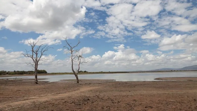 Uganda 780x440 AdobeStock_457143799