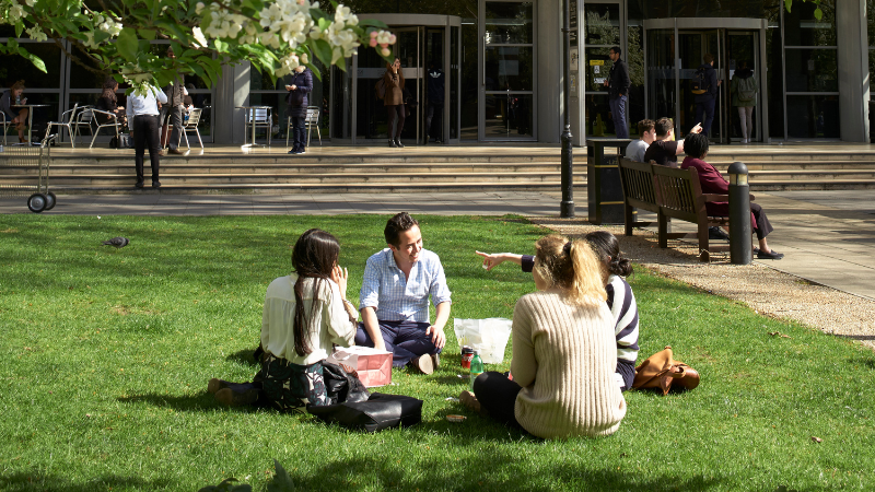 Students sitting on the grass together.