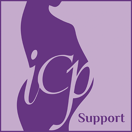 ICP Support logo