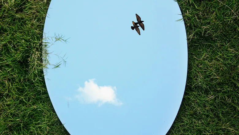 a mirror on grass reflecting the sky with birds flying overhead