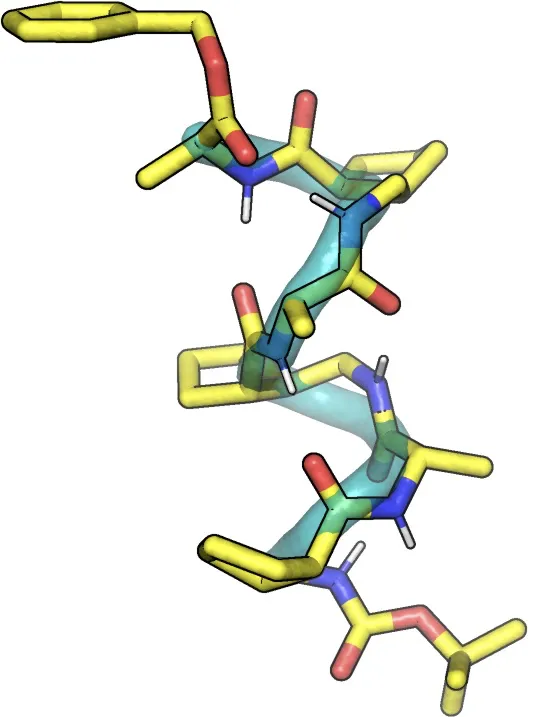 Diagram of a helical foldamer 