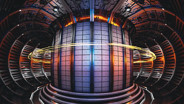 Nuclear fusion reactor