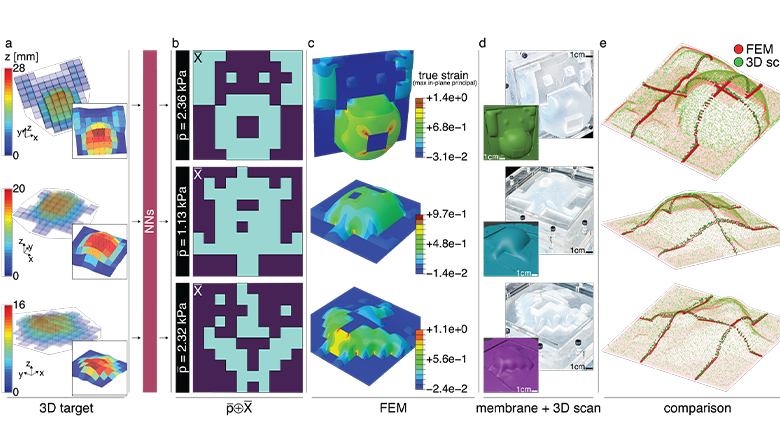 3d image deals deep learning