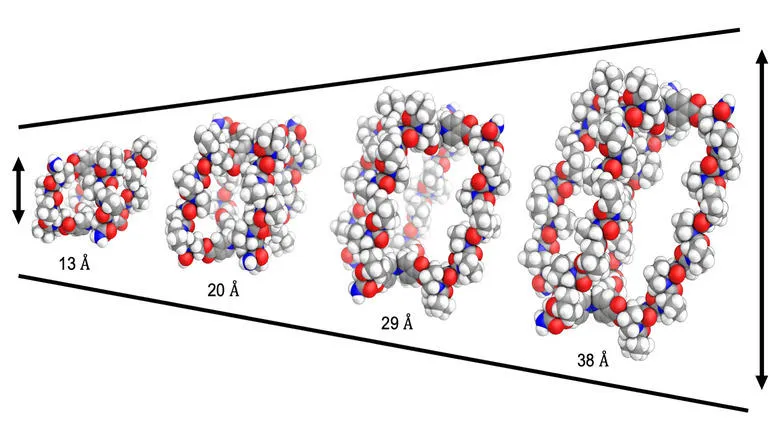 The small cages, with an internal cavity 1-4 nanometres in length, can be tuned to house drugs of different sizes - including chemotherapy drugs and antibiotics.Image credit: Dr Charlie McTernan, King's College London and the Francis Crick Institute.